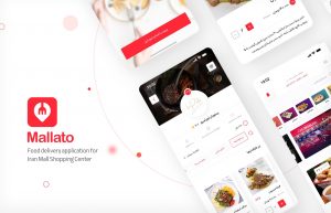 Mallato Case Study
